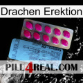 Dragon Erection 35